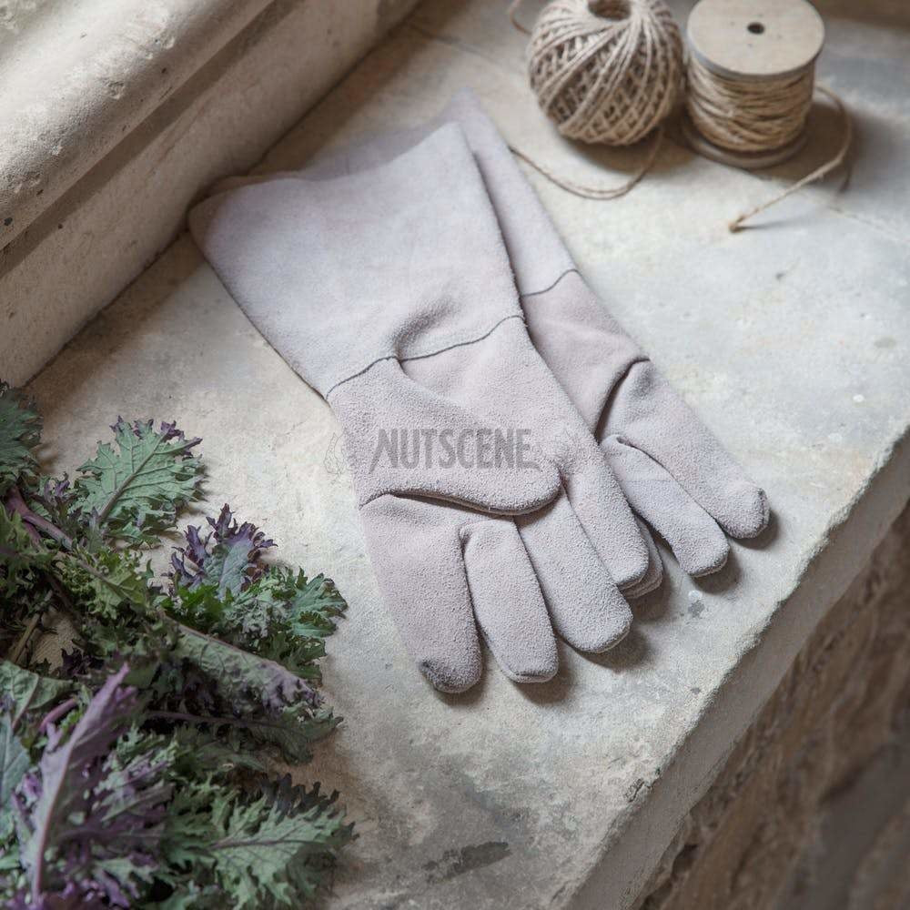 Gauntlet Gloves In Natural Or Black