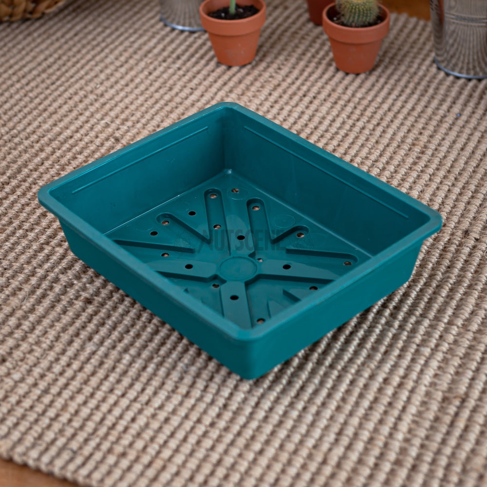 Green Mini Reusable Seed Trays- Special Offer 1 Tray