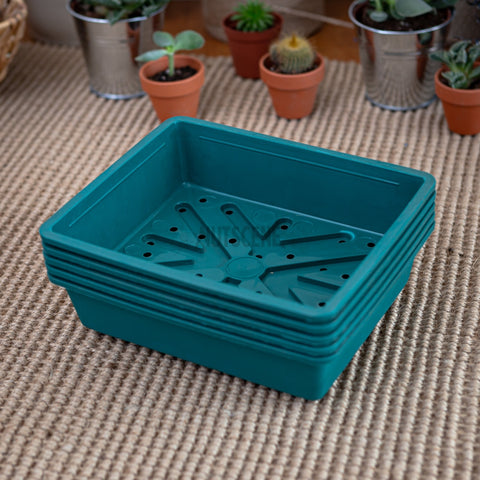 Green Mini Reusable Seed Trays- Special Offer 5 Trays