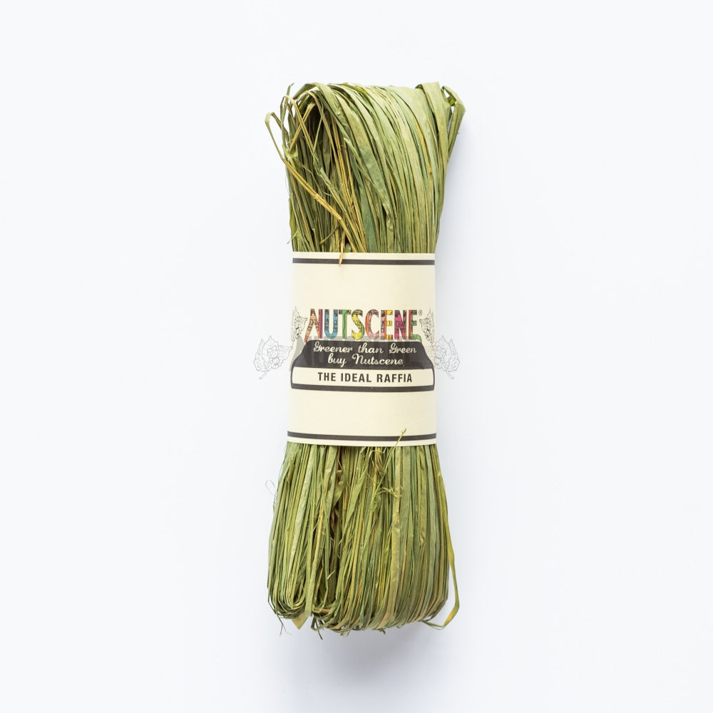 Natural Raffia For Gift Wrapping and Craft in a Profusion of NEW