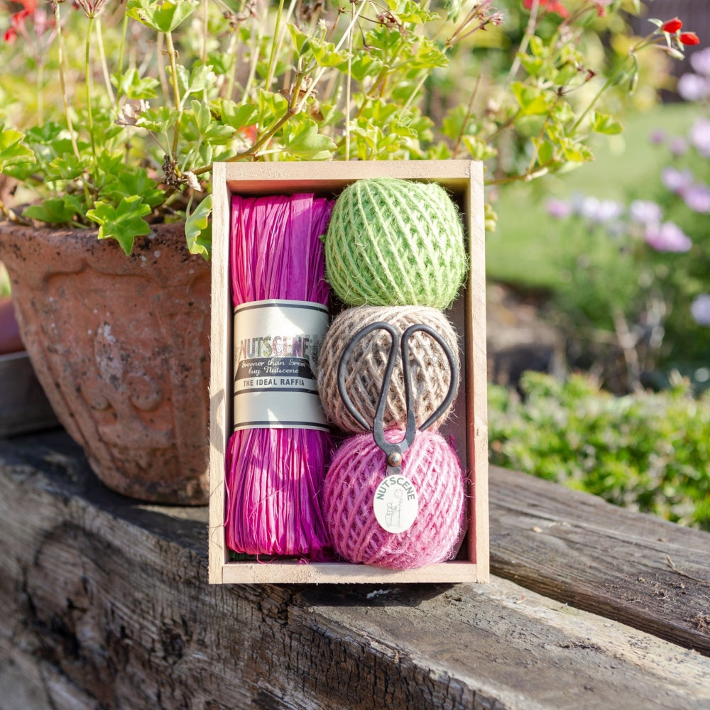 Nutscene Wooden Seed Tray Practical Gift Set Traditional Or Modern Colours.