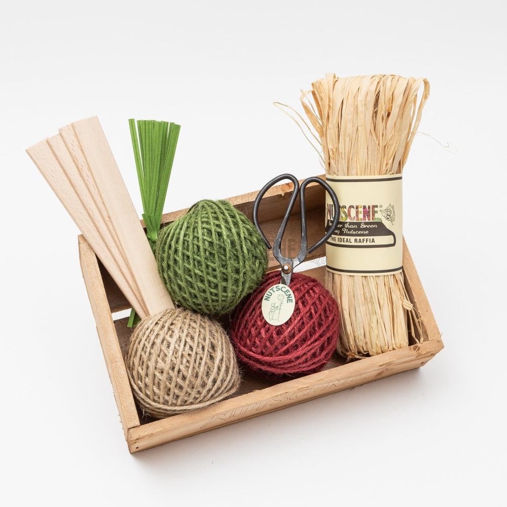 Nutscene Wooden Seed Tray Practical Gift Set Traditional Or Modern Colours.