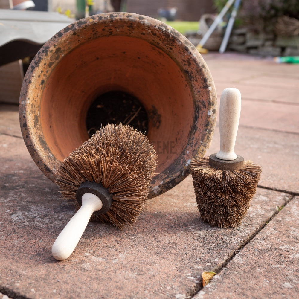https://nutscene.com/cdn/shop/products/pot-brushes-ideal-for-cleaning-out-garden-pots-2-sizes-586.jpg?v=1630069176
