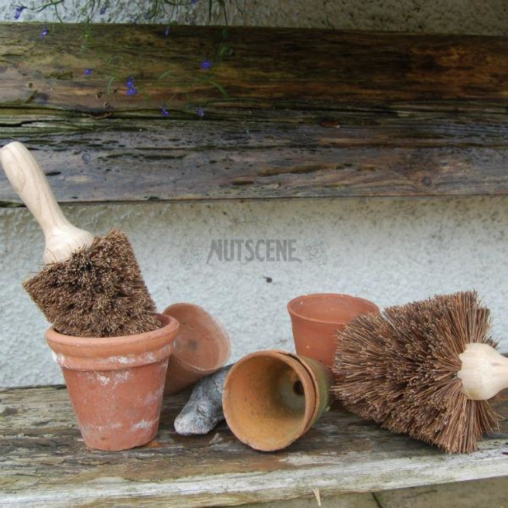 Pot Brushes for cleaning garden pots