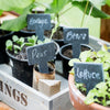 Set Of 6 Slate Greenhouse Tags With Chalk- Ideal Gift!