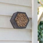 Shetland Wild Bee House