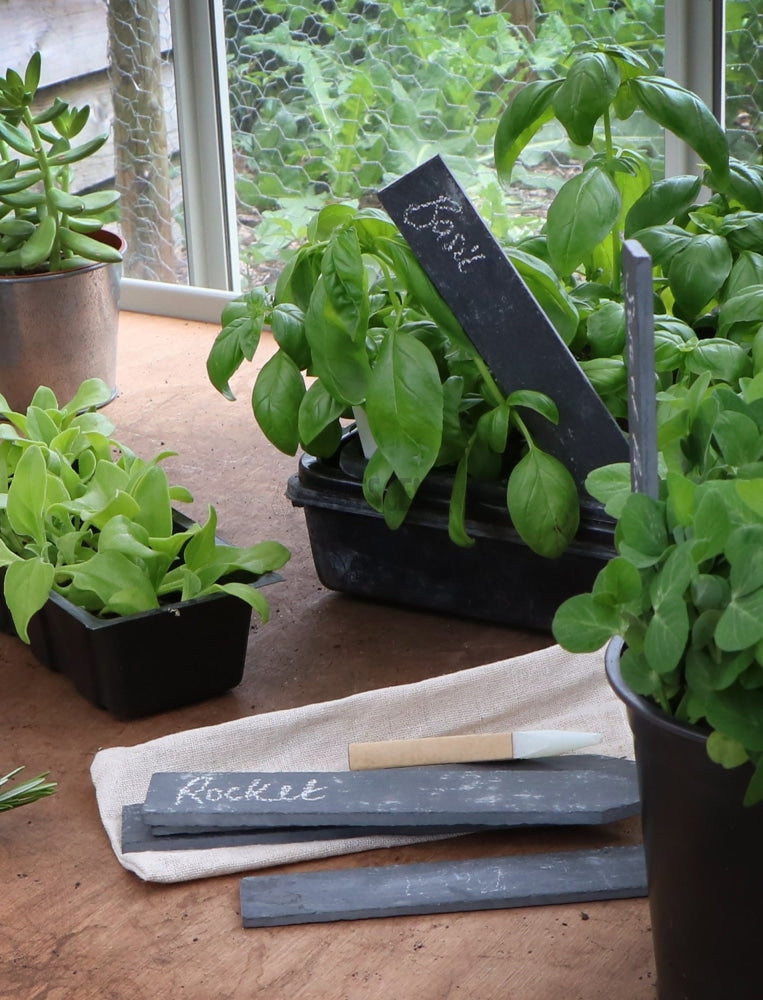 Slate Pot Plant Labels With Soapstone Pencil In Gift Bag.