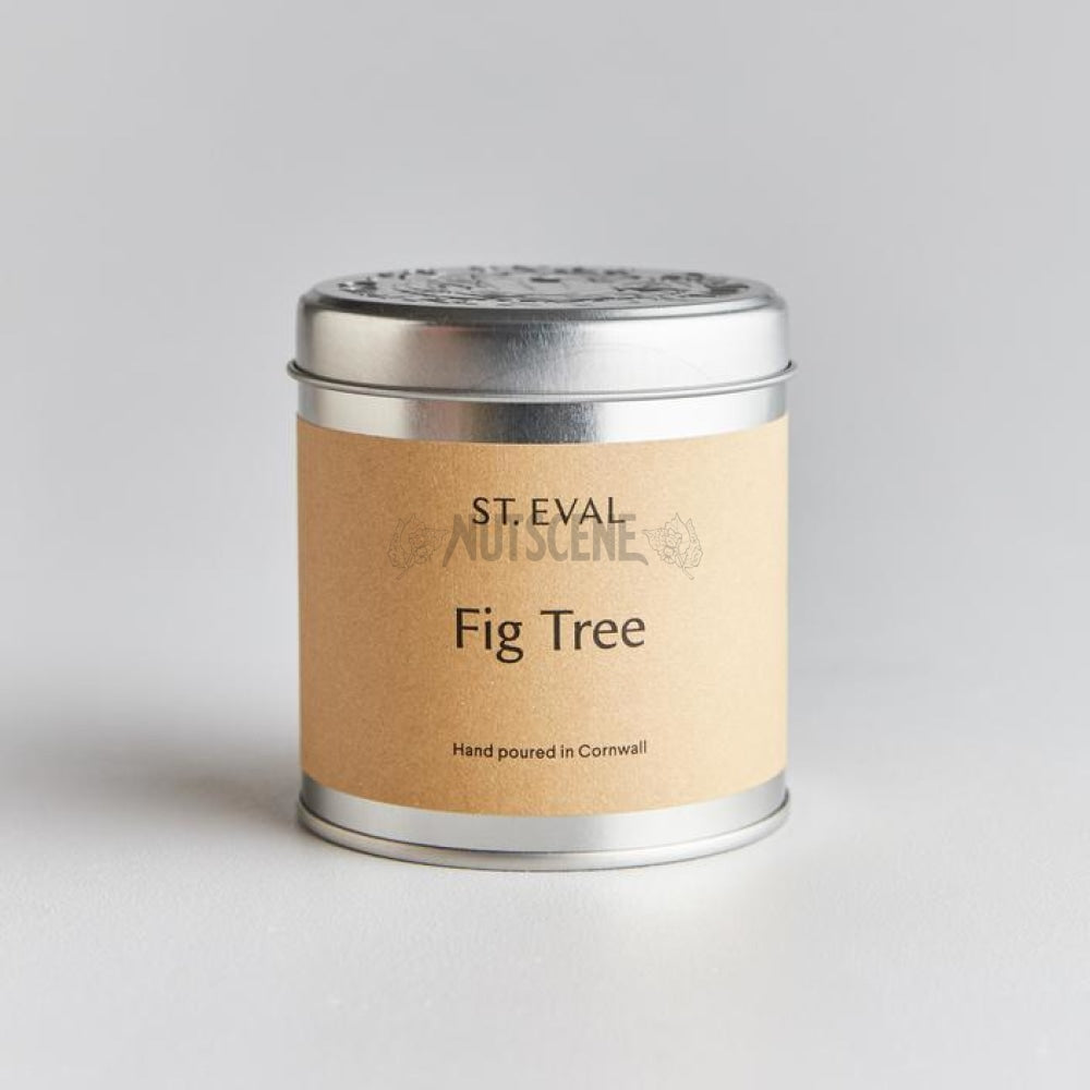 St Eval Candles In Tins - Beautiful Candles Produced The Uk 14 Scents To Choose From. Fig Tree