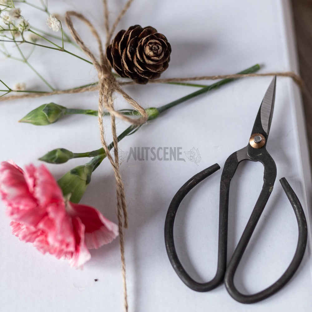 Vintage Style Scissors For Florists Gardeners Or Craft Workers Two Sizes Available Small And Large